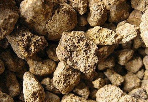 我國首次在東南太平洋發(fā)現大面積富稀土沉積